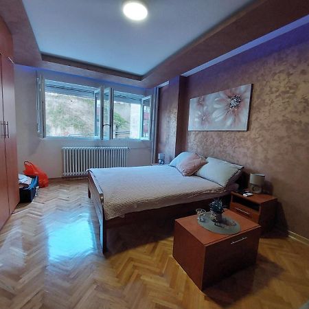 Cuca Apartments Beograd Bagian luar foto